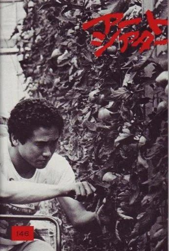 Отдалённый гром (1981) онлайн бесплатно